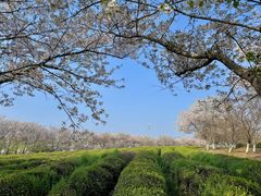 -凤凰沟景区