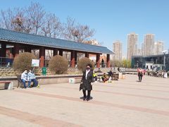 -绿岛公园(滨海新区)