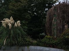 -昆山城市生态森林公园