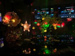 -萧邦音乐会所KTV·蒸汽活海鲜自助(福田店)