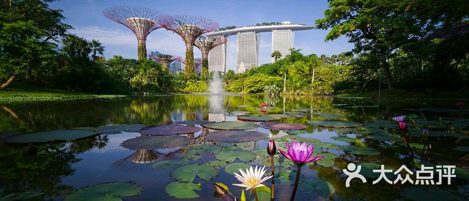 滨海湾花园图片 - 第2张