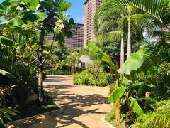 -亚马逊丛林水乐园