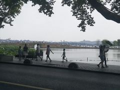 -老高面馆(洋泮路店)