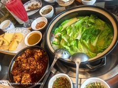 -志晖园圆子鸡·辣子鸡(阳光店)