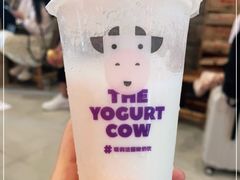 -一只酸奶牛(八一路店)