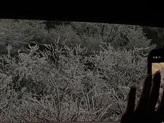 -浙西天池-售票处