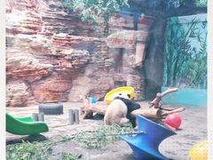 -石家庄市动物园