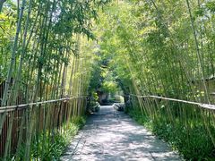 -新荣记(西溪湿地店)