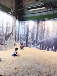 -恐龙探索乐园(磁器口店)