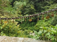 -苍山感通索道