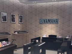 -知音艺术教育培训·钢琴培训·音乐培训(河西金鹰世界校区)