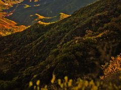 -大岭沟猕猴桃谷风景区