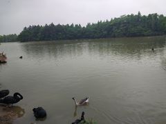 -艾溪湖湿地公园