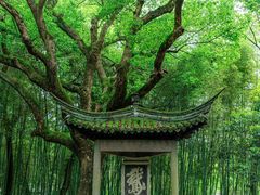 -兰亭风景区