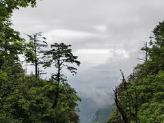-峨眉山风景名胜区
