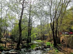 -玉渡山自然风景区