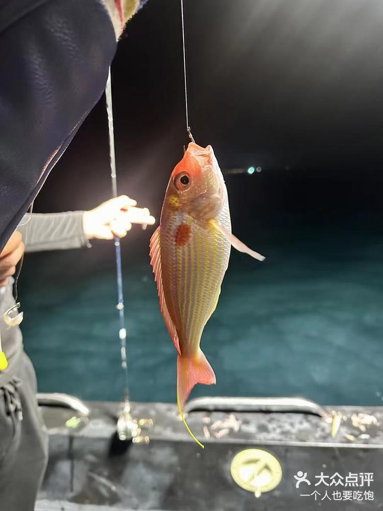 双月湾出海夜钓,正是钓鱿鱼的时候