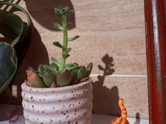 -懒人盐府人家(安贞店)