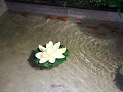 -遇见小厨·北京烤鸭·江湖菜·川菜(广福桥店)