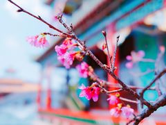 -宝墨园景区