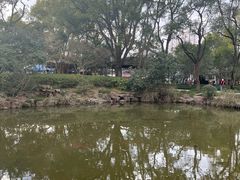 -汇龙潭