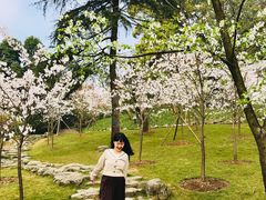 -南山植物园