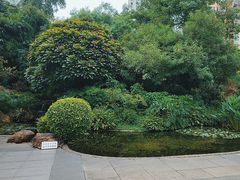 -晓港公园