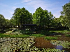 -尚贤河湿地