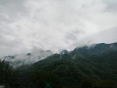 -江南天池