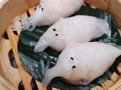 像生墨鱼饺-祥源坊海鲜酒楼(小榄店)
