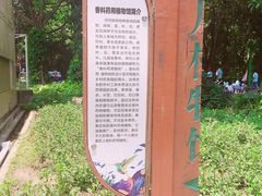 -东南花都花博园