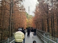 -福道
