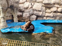 -华夏文旅海洋公园