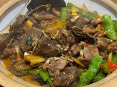 古法黄焖甲鱼-湘里乡亲甲王二老店