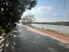 -洛龙公园