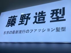 点击看大图 -藤野造型