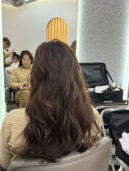 -型色沙龙 Color Salon