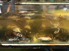 -ZF Seafood Restaurant 卓峰海鲜餐