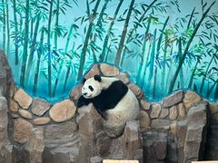 -济南野生动物世界