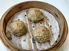 -东豪园林海鲜酒家(南港路辅路店)