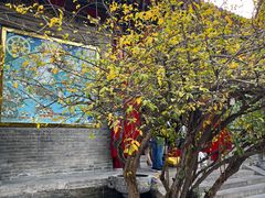 -西安市广仁寺