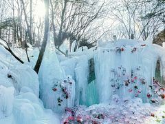 -洛阳白云山景区