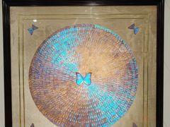 -上海昆虫博物馆