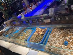 -加餐海鲜自助(宝龙一城店)