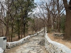 -阳台山自然风景区