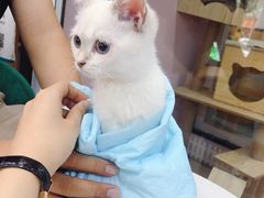 -联合动物医院(光谷诊疗中心)