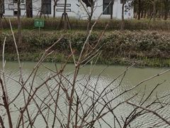 -柳鹭田园区