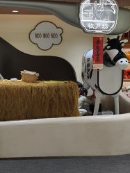 -奈尔宝·国风主题儿童乐园·亲子餐厅(豫园商城店)