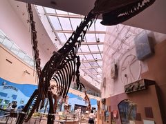 -陕西自然博物馆