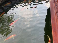 -香麒园·过桥米线·南湖雅宴
